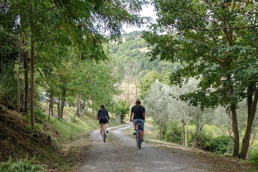Agriturismo Montelovesco Brunetta Kültér fotó