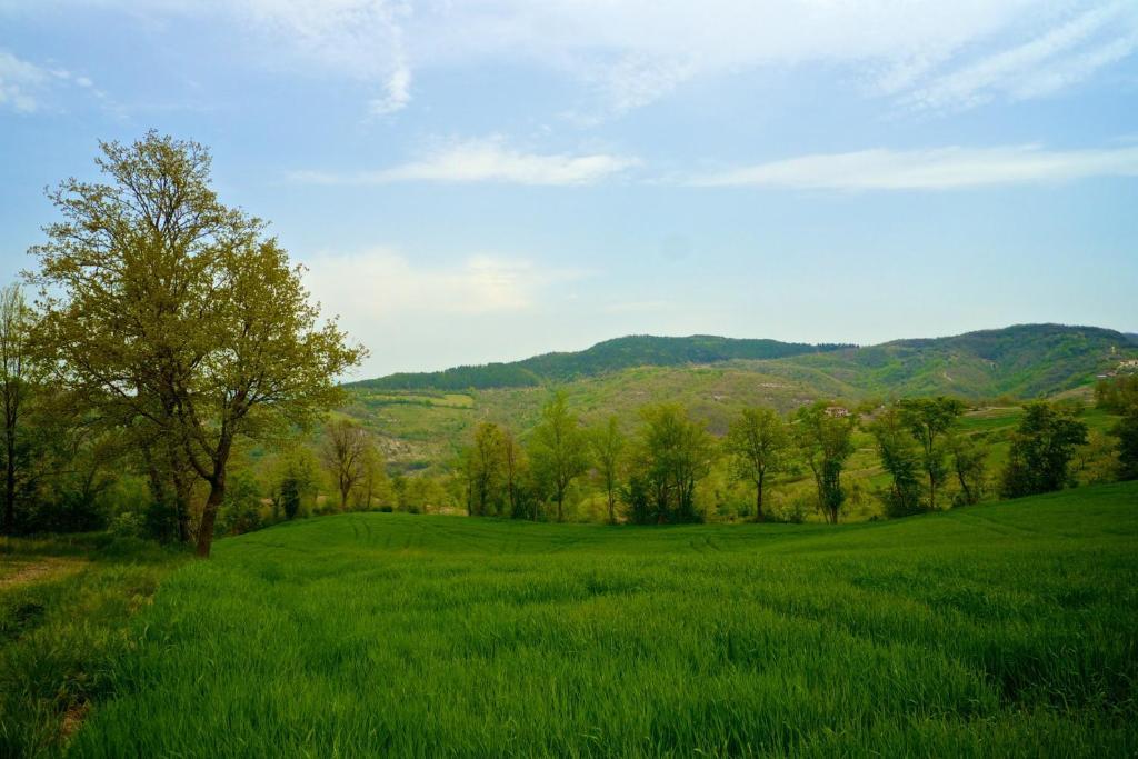 Agriturismo Montelovesco Brunetta Kültér fotó